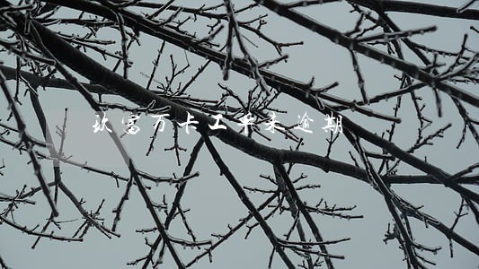 玖富万卡工单未逾期 玖富万卡工单未逾期
