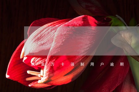 玖富万卡强制用户逾期 玖富万卡强制用户逾期