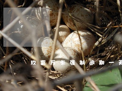 玖富万卡强制逾期一天