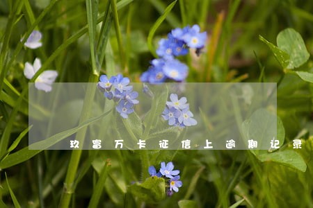 玖富万卡征信上逾期记录撤销 玖富万卡征信上逾期记录撤销