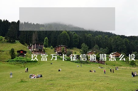 玖富万卡征信逾期怎么投诉 玖富万卡征信逾期怎么投诉