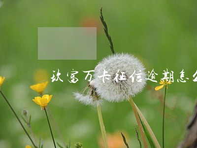 玖富万卡征信逾期怎么消除 玖富万卡征信逾期怎么消除