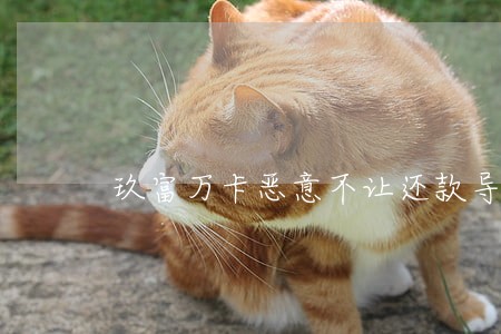 玖富万卡恶意不让还款导致逾期 玖富万卡恶意不让还款导致逾期