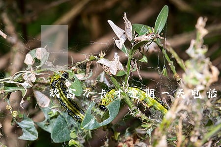玖富万卡才逾期一天电话打不停 玖富万卡才逾期一天电话打不停