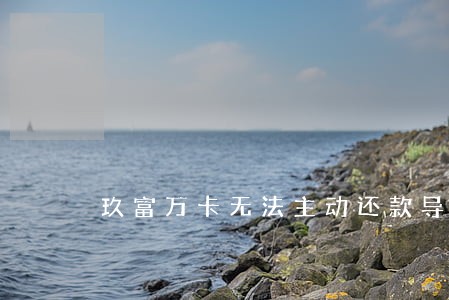 玖富万卡无法主动还款导致逾期