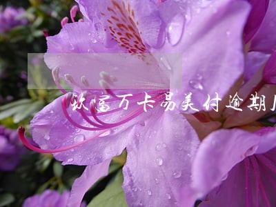 玖富万卡易美付逾期几天打电话 玖富万卡易美付逾期几天打电话