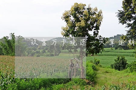 玖富万卡晚还一天算逾期吗 玖富万卡晚还一天算逾期吗
