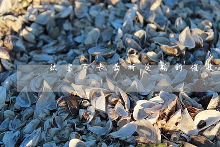 玖富万卡最新逾期的催收流程 玖富万卡最新逾期的催收流程