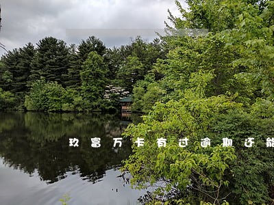 玖富万卡有过逾期还能下款吗