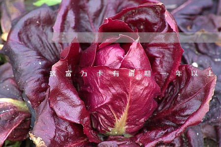 玖富万卡有逾期一年以上的吗 玖富万卡有逾期一年以上的吗