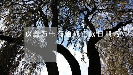 玖富万卡有逾期还款日期吗