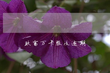 玖富万卡服没逾期 玖富万卡服没逾期