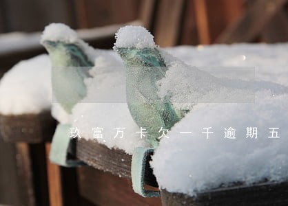 玖富万卡欠一千逾期五年 玖富万卡欠一千逾期五年