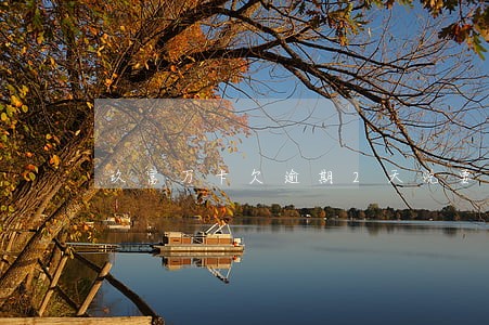 玖富万卡欠逾期2天说要仲裁