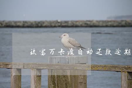 玖富万卡没自动还款逾期 玖富万卡没自动还款逾期