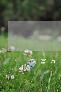 玖富万卡没逾期额度冻结 玖富万卡没逾期额度冻结