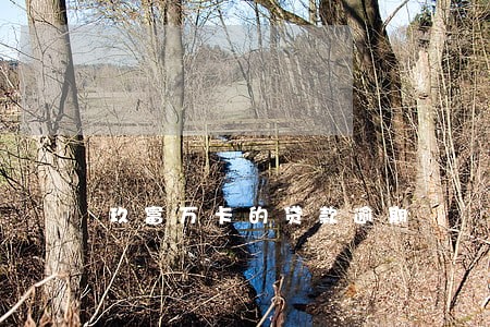 玖富万卡的贷款逾期 玖富万卡的贷款逾期