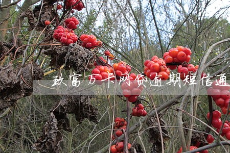 玖富万卡网贷逾期短信通知亲友 玖富万卡网贷逾期短信通知亲友