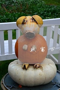 玖富万卡贷款逾期一天