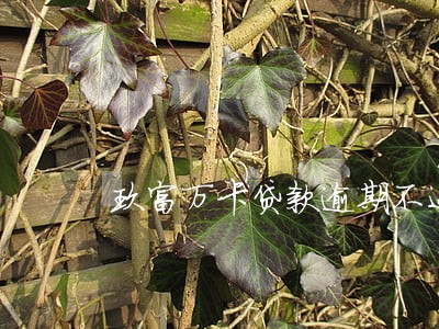 玖富万卡贷款逾期不还会怎样 玖富万卡贷款逾期不还会怎样