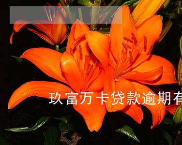 玖富万卡贷款逾期有什么后果 玖富万卡贷款逾期有什么后果