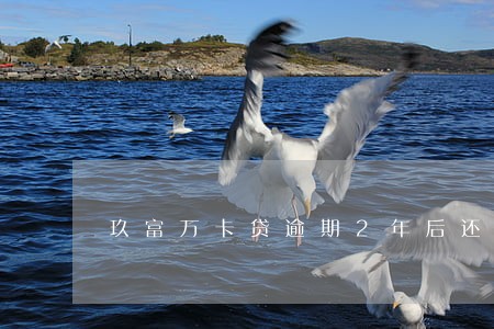 玖富万卡贷逾期2年后还会有吗 玖富万卡贷逾期2年后还会有吗