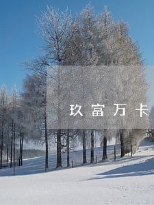 玖富万卡贷逾期不还