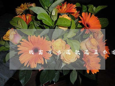 玖富万卡还款还显示逾期 玖富万卡还款还显示逾期