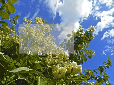 玖富万卡逾期12天会怎样 玖富万卡逾期12天会怎样