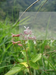 玖富万卡逾期1万会怎么样 玖富万卡逾期1万会怎么样