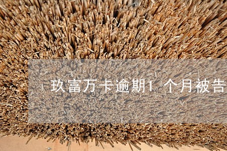 玖富万卡逾期1个月被告