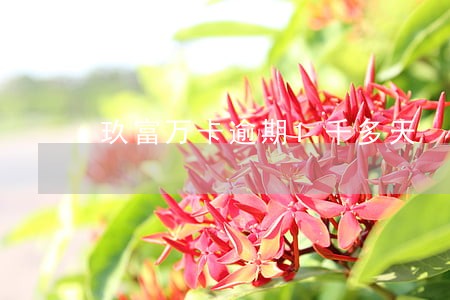 玖富万卡逾期1千多天 玖富万卡逾期1千多天