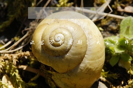 玖富万卡逾期1天会怎样 玖富万卡逾期1天会怎样