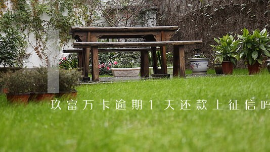 玖富万卡逾期1天还款上征信吗 玖富万卡逾期1天还款上征信吗