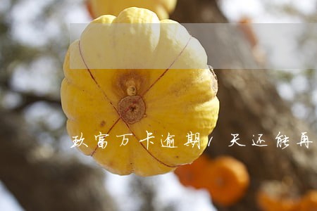 玖富万卡逾期1天还能再借吗 玖富万卡逾期1天还能再借吗