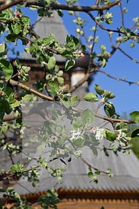 玖富万卡逾期1年多没还 玖富万卡逾期1年多没还