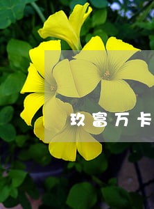 玖富万卡逾期2000多 玖富万卡逾期2000多