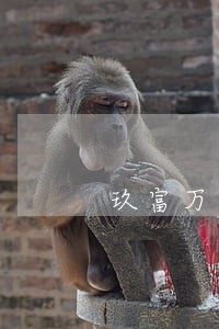 玖富万卡逾期2天不接电话有事吗 玖富万卡逾期2天不接电话有事吗