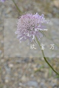 玖富万卡逾期30天会怎样 玖富万卡逾期30天会怎样