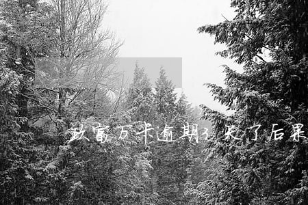 玖富万卡逾期3天了后果严重吗