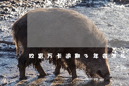 玖富万卡逾期3年会怎么样 玖富万卡逾期3年会怎么样