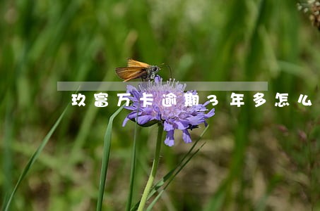 玖富万卡逾期3年多怎么样还款 玖富万卡逾期3年多怎么样还款