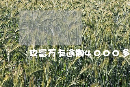 玖富万卡逾期4000多 玖富万卡逾期4000多