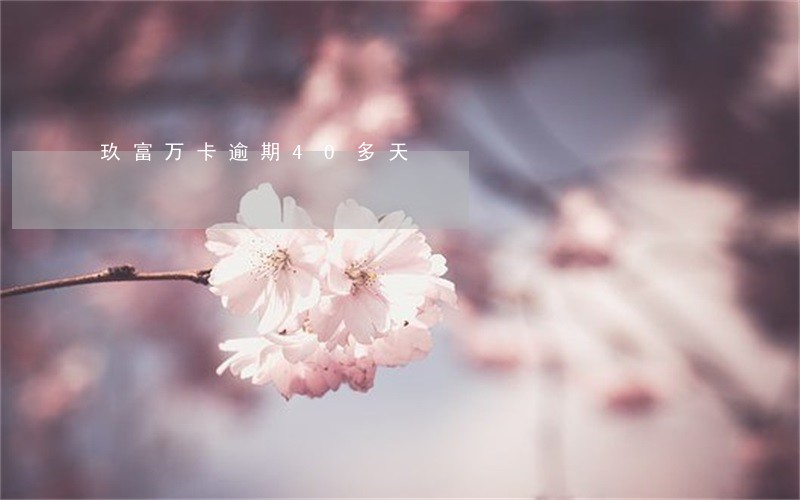 玖富万卡逾期40多天