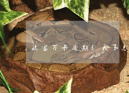 玖富万卡逾期5天了怎么办 玖富万卡逾期5天了怎么办