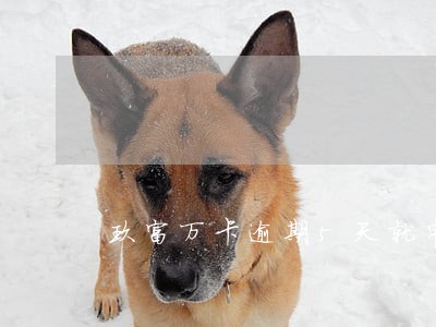玖富万卡逾期5天就申请仲裁 玖富万卡逾期5天就申请仲裁