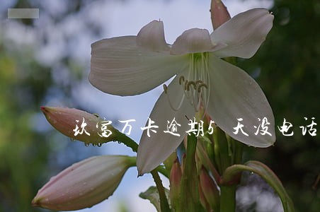 玖富万卡逾期5天没电话 玖富万卡逾期5天没电话