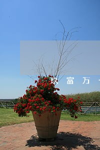 玖富万卡逾期5年不还 玖富万卡逾期5年不还
