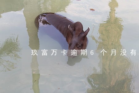 玖富万卡逾期6个月没有还 玖富万卡逾期6个月没有还