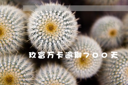 玖富万卡逾期700天 玖富万卡逾期700天